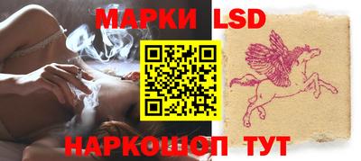крисы Берёзовский