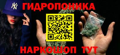 шишки Беслан