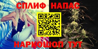 шишки Беслан