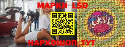 крисы Берёзовский