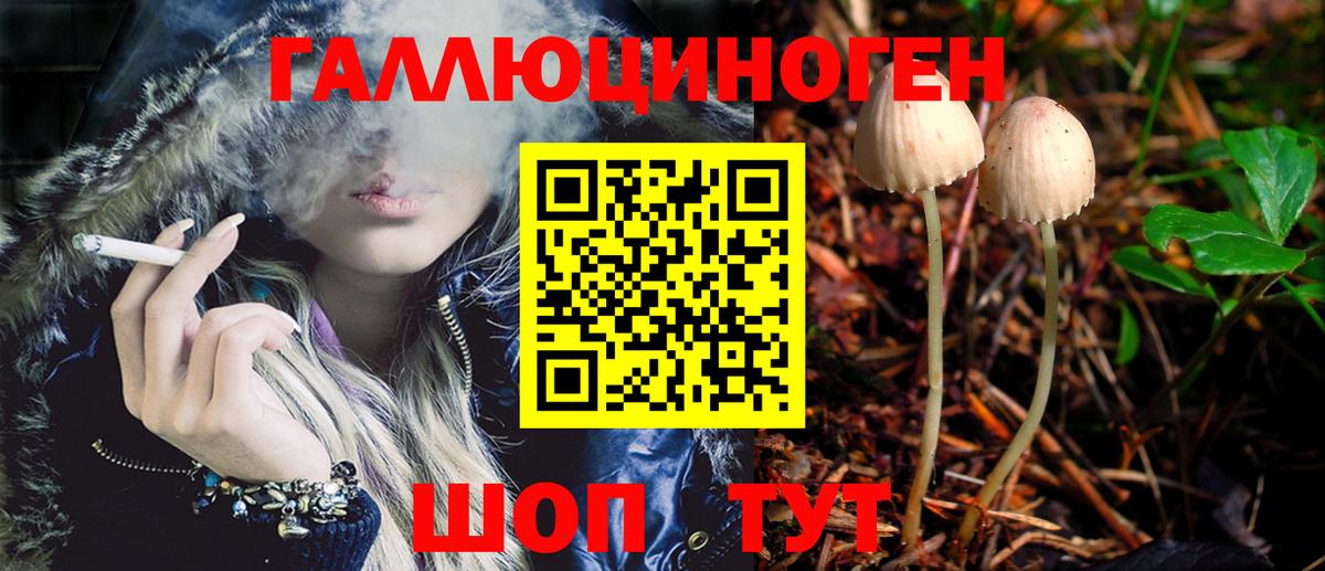 Качканар  Псилоцибиновые грибы Magic Shrooms  Вход с VPN 