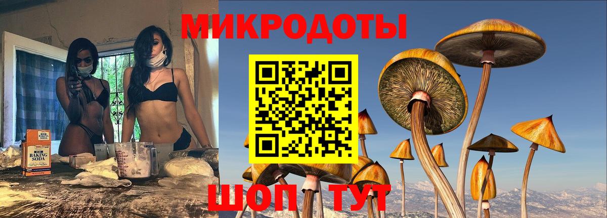 Галлюциногенные грибы прущие грибы Качканар